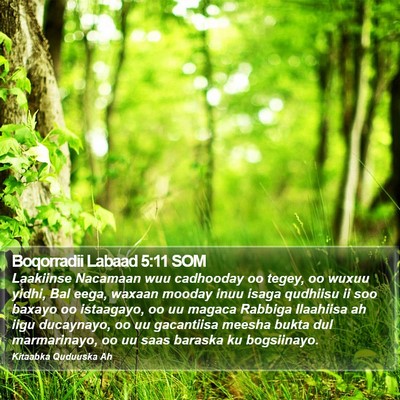 Boqorradii Labaad 5:11 SOM Bible Verse Image