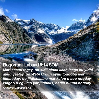 Boqorradii Labaad 5:14 SOM Bible Verse Image