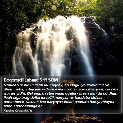 Boqorradii Labaad 5:15 SOM Bible Verse Image