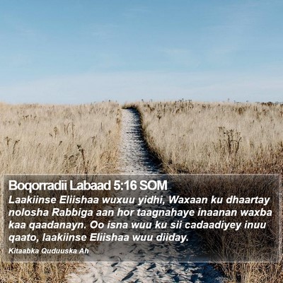 Boqorradii Labaad 5:16 SOM Bible Verse Image
