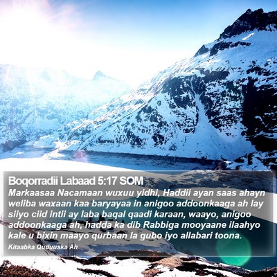 Boqorradii Labaad 5:17 SOM Bible Verse Image