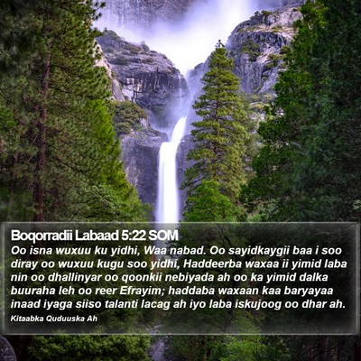 Boqorradii Labaad 5:22 SOM Bible Verse Image