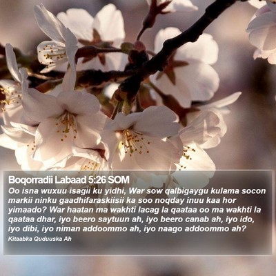 Boqorradii Labaad 5:26 SOM Bible Verse Image