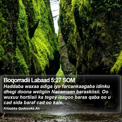 Boqorradii Labaad 5:27 SOM Bible Verse Image