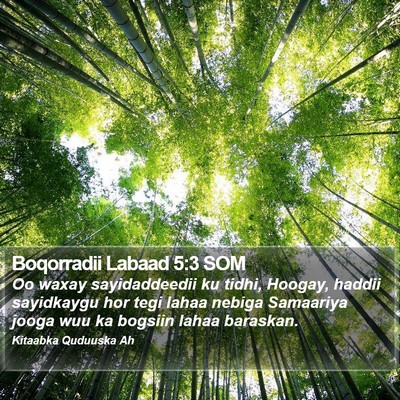 Boqorradii Labaad 5:3 SOM Bible Verse Image