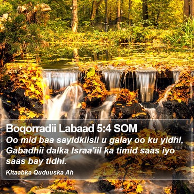Boqorradii Labaad 5:4 SOM Bible Verse Image