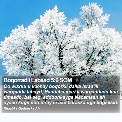 Boqorradii Labaad 5:6 SOM Bible Verse Image