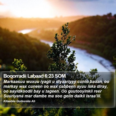 Boqorradii Labaad 6:23 SOM Bible Verse Image