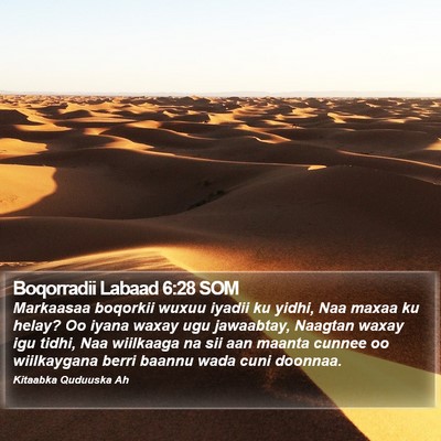 Boqorradii Labaad 6:28 SOM Bible Verse Image