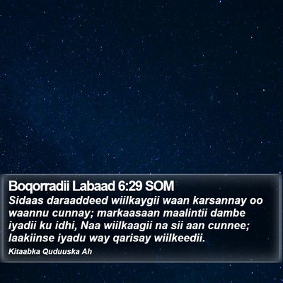 Boqorradii Labaad 6:29 SOM Bible Verse Image