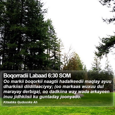 Boqorradii Labaad 6:30 SOM Bible Verse Image