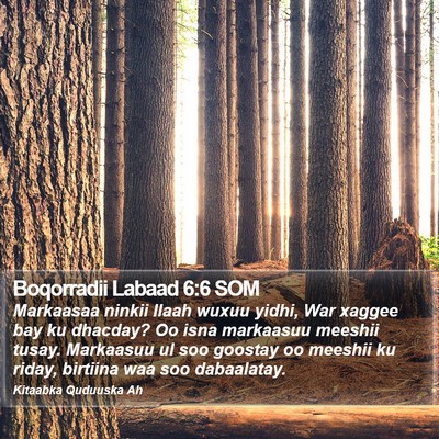 Boqorradii Labaad 6:6 SOM Bible Verse Image