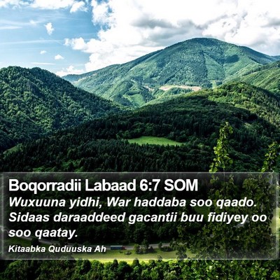 Boqorradii Labaad 6:7 SOM Bible Verse Image