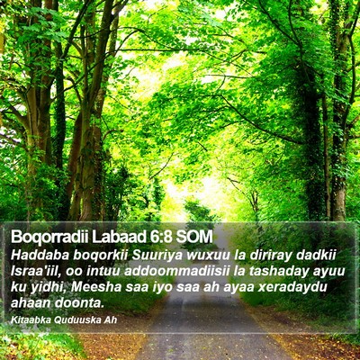 Boqorradii Labaad 6:8 SOM Bible Verse Image