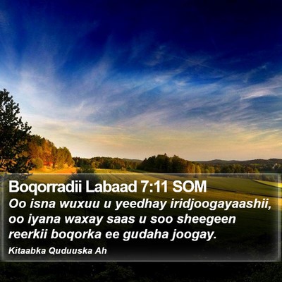 Boqorradii Labaad 7:11 SOM Bible Verse Image