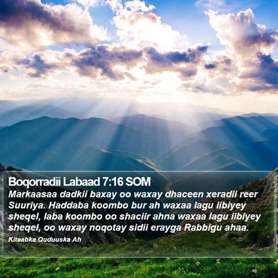 Boqorradii Labaad 7:16 SOM Bible Verse Image
