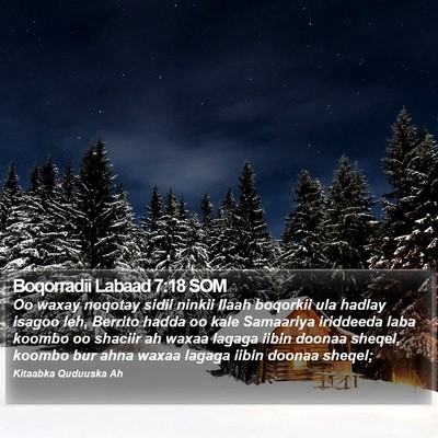 Boqorradii Labaad 7:18 SOM Bible Verse Image