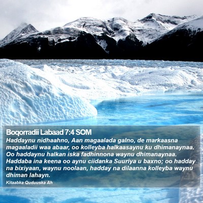 Boqorradii Labaad 7:4 SOM Bible Verse Image