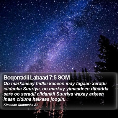 Boqorradii Labaad 7:5 SOM Bible Verse Image