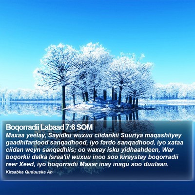 Boqorradii Labaad 7:6 SOM Bible Verse Image