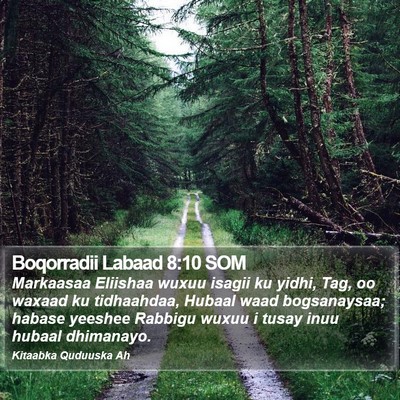 Boqorradii Labaad 8:10 SOM Bible Verse Image