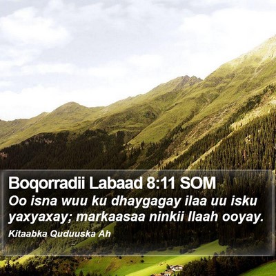 Boqorradii Labaad 8:11 SOM Bible Verse Image