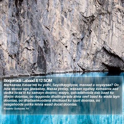 Boqorradii Labaad 8:12 SOM Bible Verse Image
