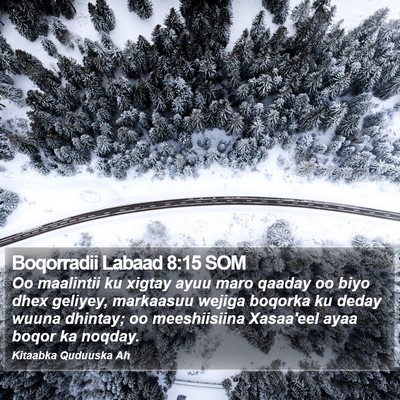 Boqorradii Labaad 8:15 SOM Bible Verse Image