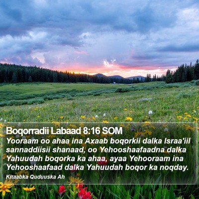 Boqorradii Labaad 8:16 SOM Bible Verse Image