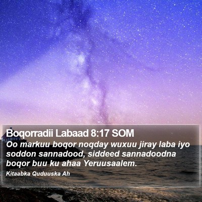 Boqorradii Labaad 8:17 SOM Bible Verse Image