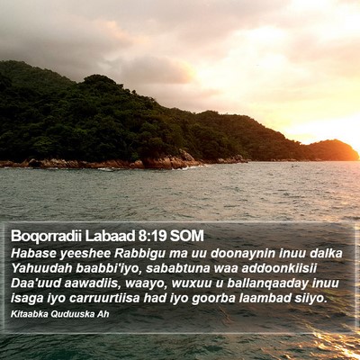 Boqorradii Labaad 8:19 SOM Bible Verse Image