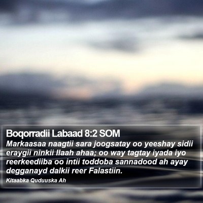 Boqorradii Labaad 8:2 SOM Bible Verse Image