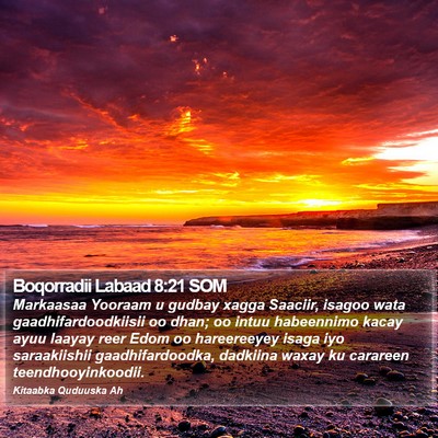 Boqorradii Labaad 8:21 SOM Bible Verse Image