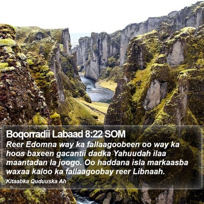 Boqorradii Labaad 8:22 SOM Bible Verse Image