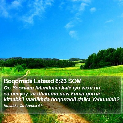 Boqorradii Labaad 8:23 SOM Bible Verse Image
