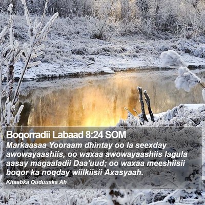 Boqorradii Labaad 8:24 SOM Bible Verse Image