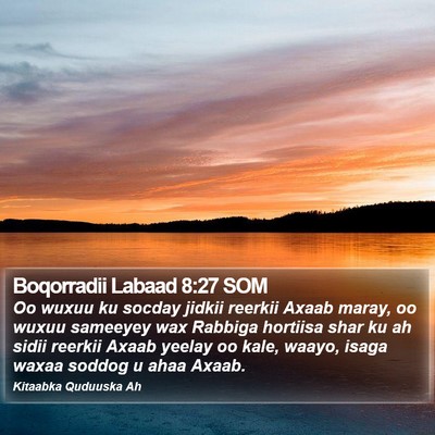 Boqorradii Labaad 8:27 SOM Bible Verse Image