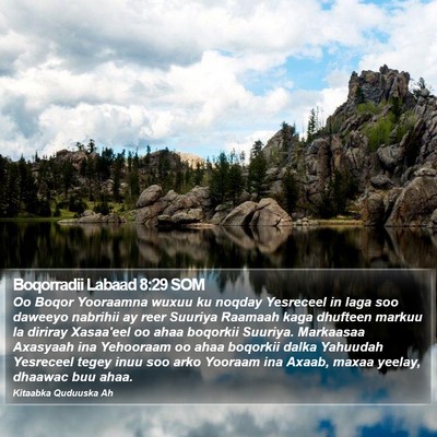 Boqorradii Labaad 8:29 SOM Bible Verse Image