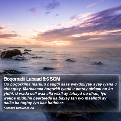 Boqorradii Labaad 8:6 SOM Bible Verse Image