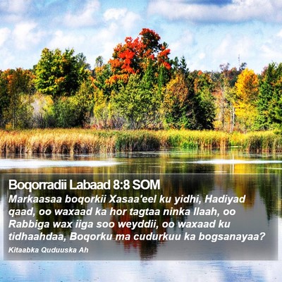 Boqorradii Labaad 8:8 SOM Bible Verse Image