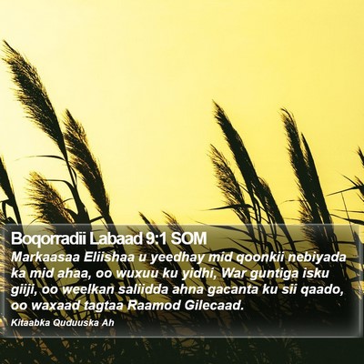 Boqorradii Labaad 9:1 SOM Bible Verse Image