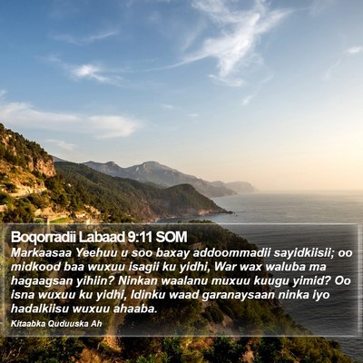 Boqorradii Labaad 9:11 SOM Bible Verse Image