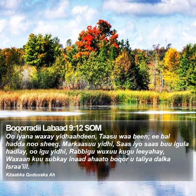 Boqorradii Labaad 9:12 SOM Bible Verse Image
