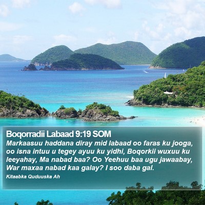 Boqorradii Labaad 9:19 SOM Bible Verse Image