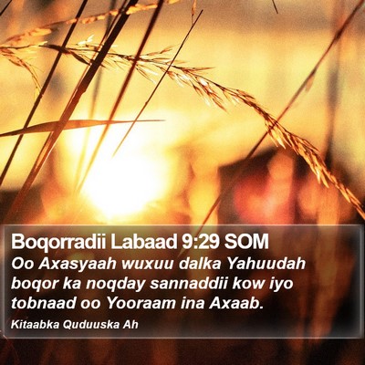 Boqorradii Labaad 9:29 SOM Bible Verse Image