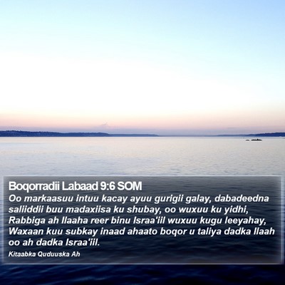 Boqorradii Labaad 9:6 SOM Bible Verse Image