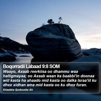 Boqorradii Labaad 9:8 SOM Bible Verse Image