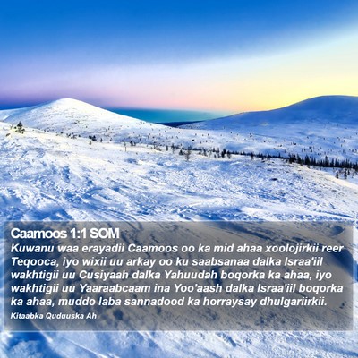Caamoos 1:1 SOM Bible Verse Image