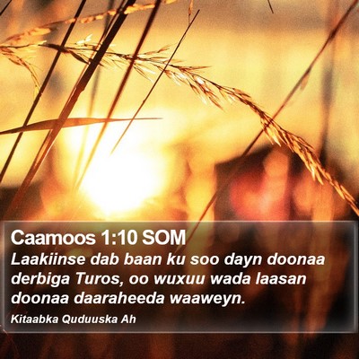 Caamoos 1:10 SOM Bible Verse Image