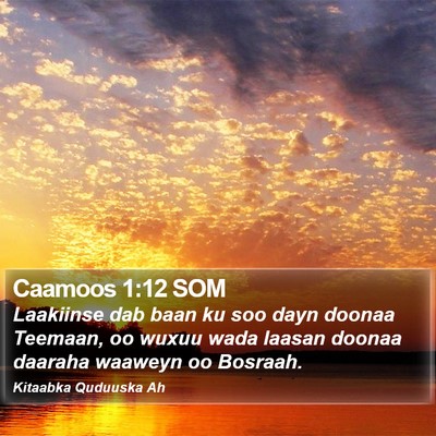 Caamoos 1:12 SOM Bible Verse Image